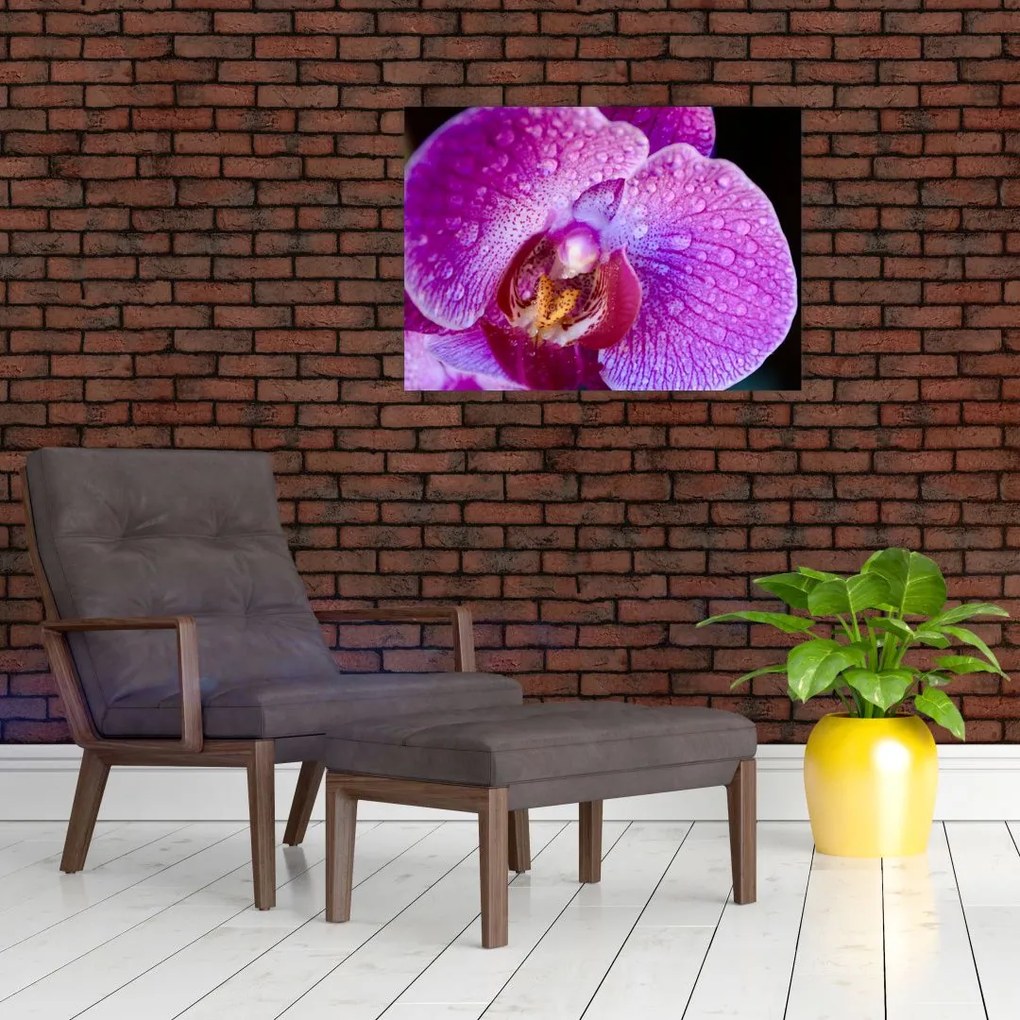 Tablou pe sticlă detailat cu floare de orhidee (70x50 cm)