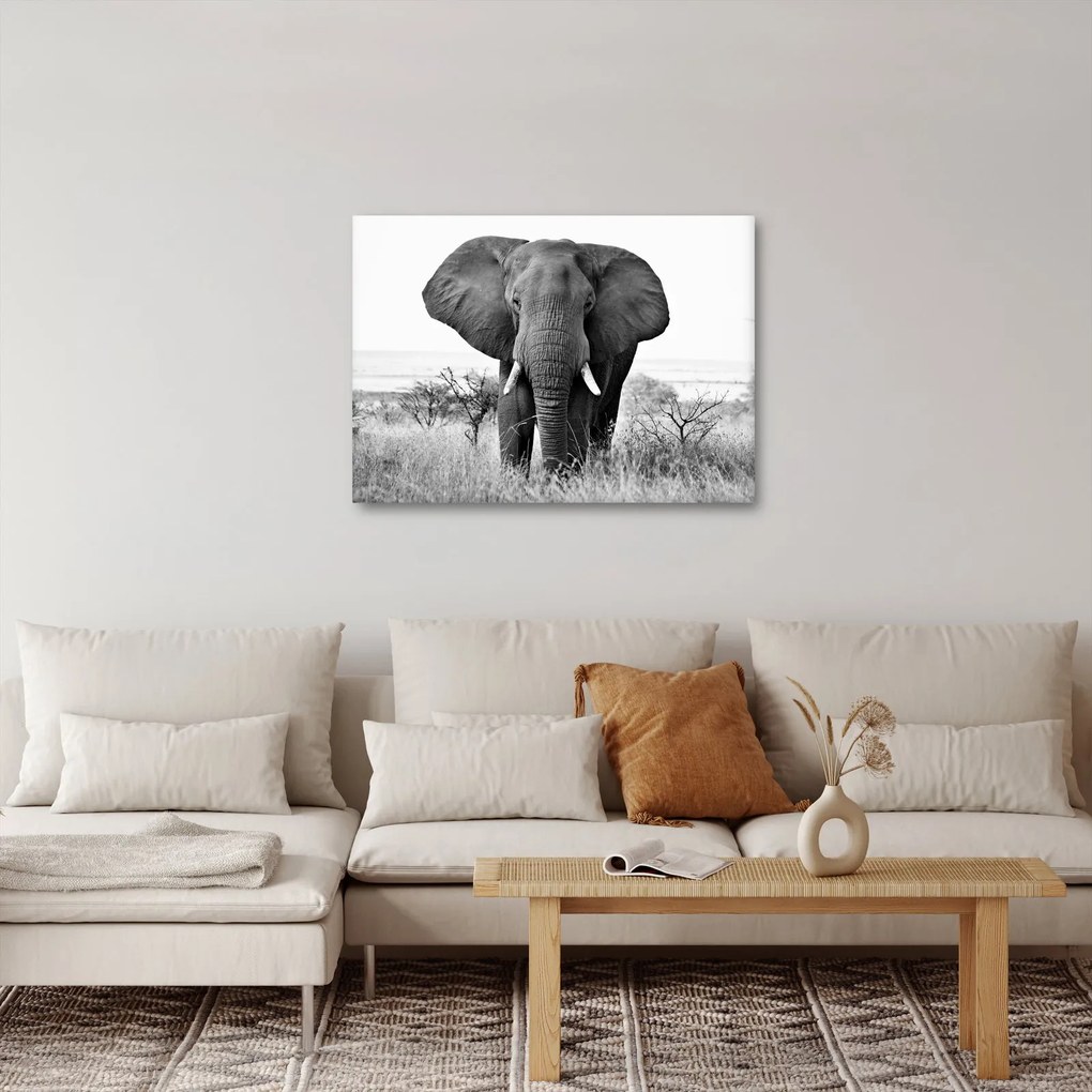Tablou - Elefantul african II. (70x50 cm)