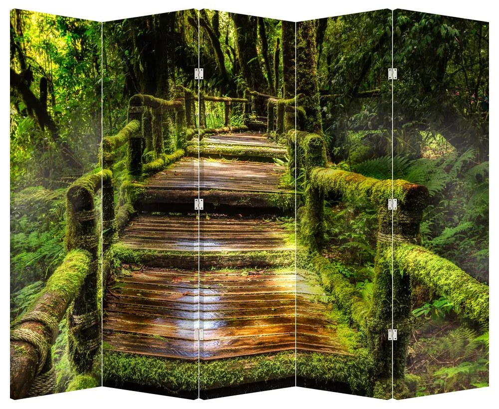 Paravan - Scări într-o pădure tropicală (210x170 cm)
