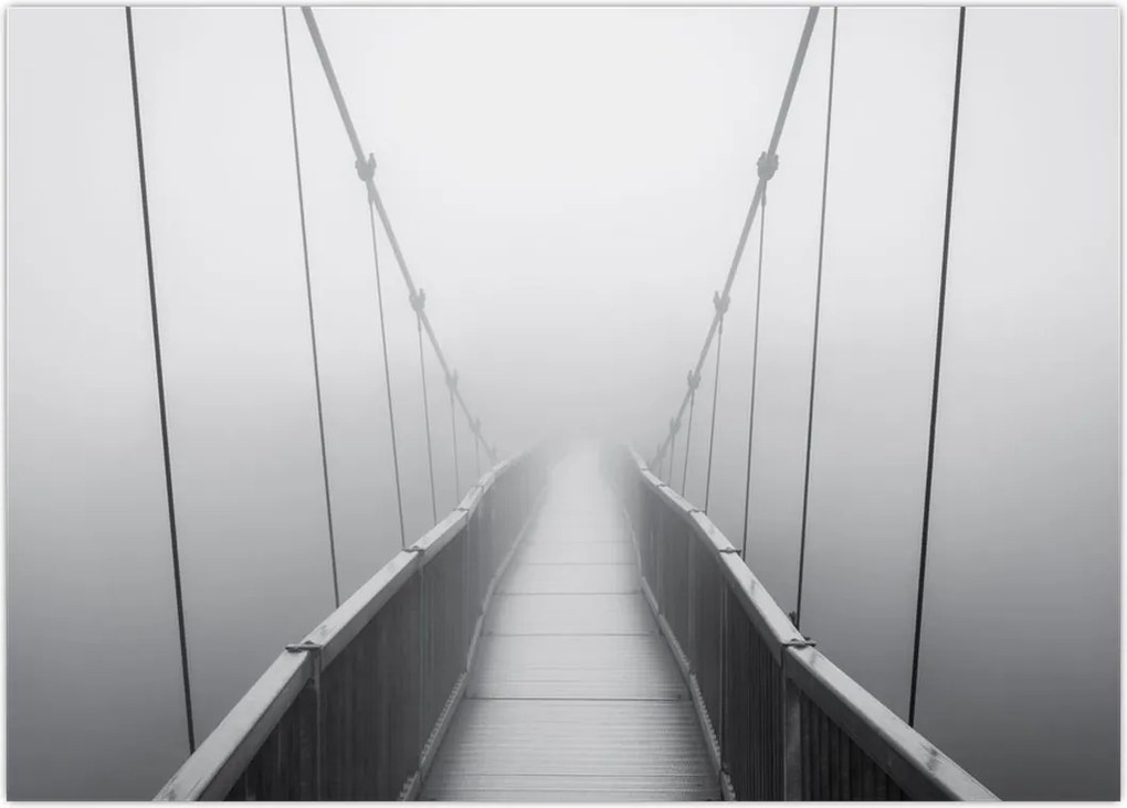 Tablou - Pod spre necunoscut (70x50 cm)