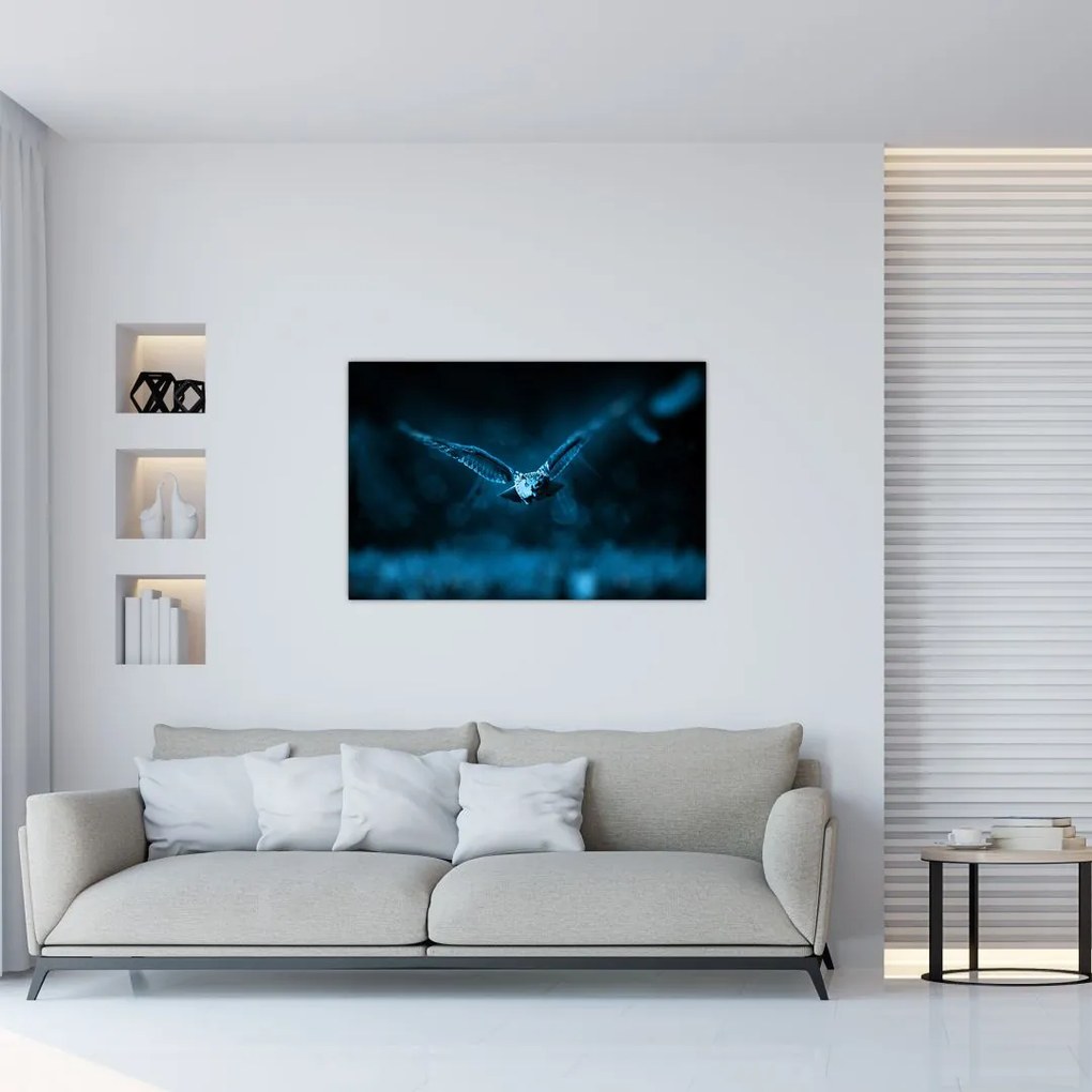 Tablou cu bufnița zburând (90x60 cm)