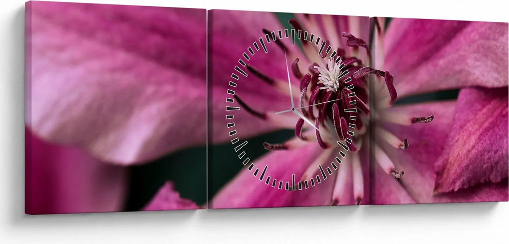 Tablou cu floarea roz de clematis (cu ceas) (90x30 cm)