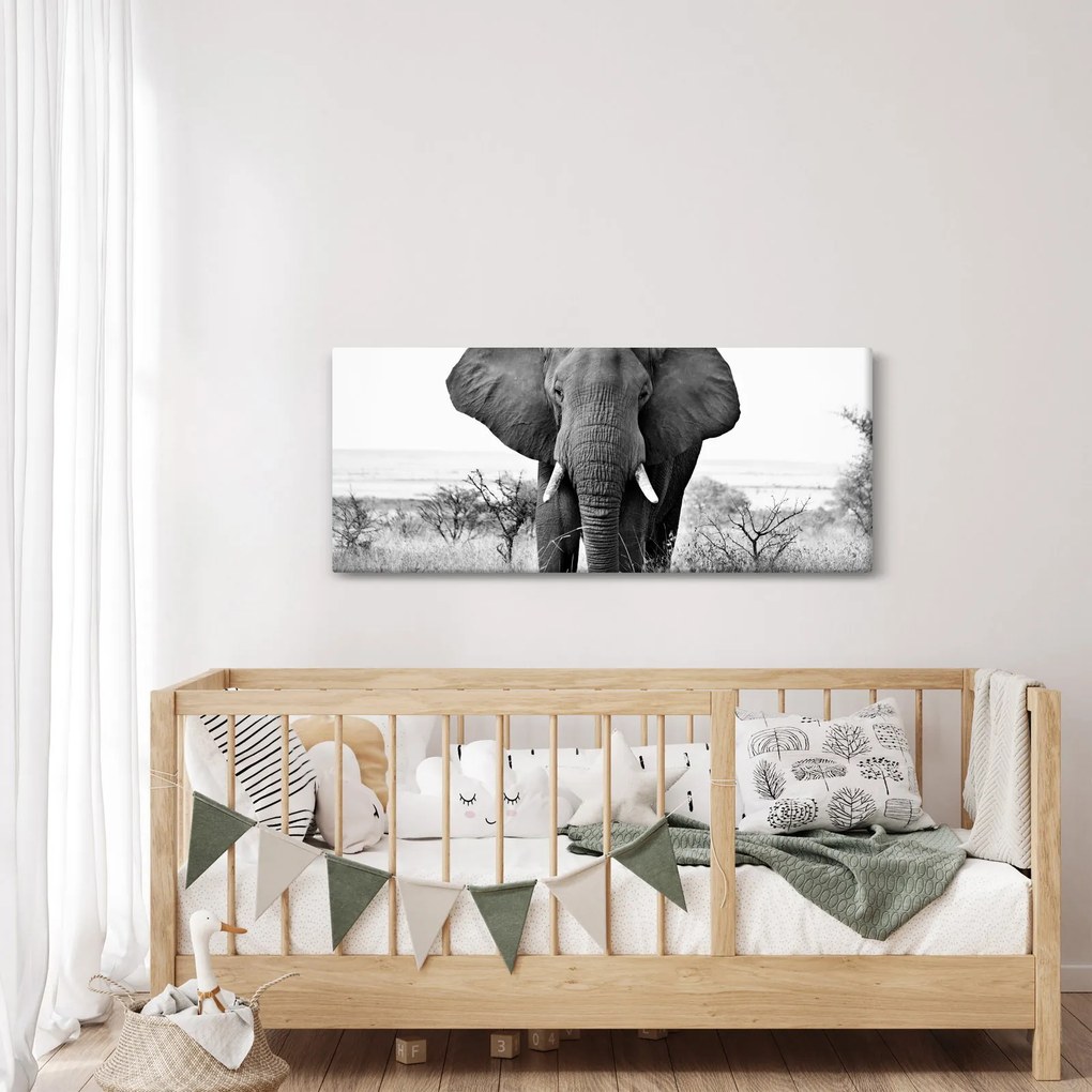 Tablou - Elefantul african II. (120x50 cm)