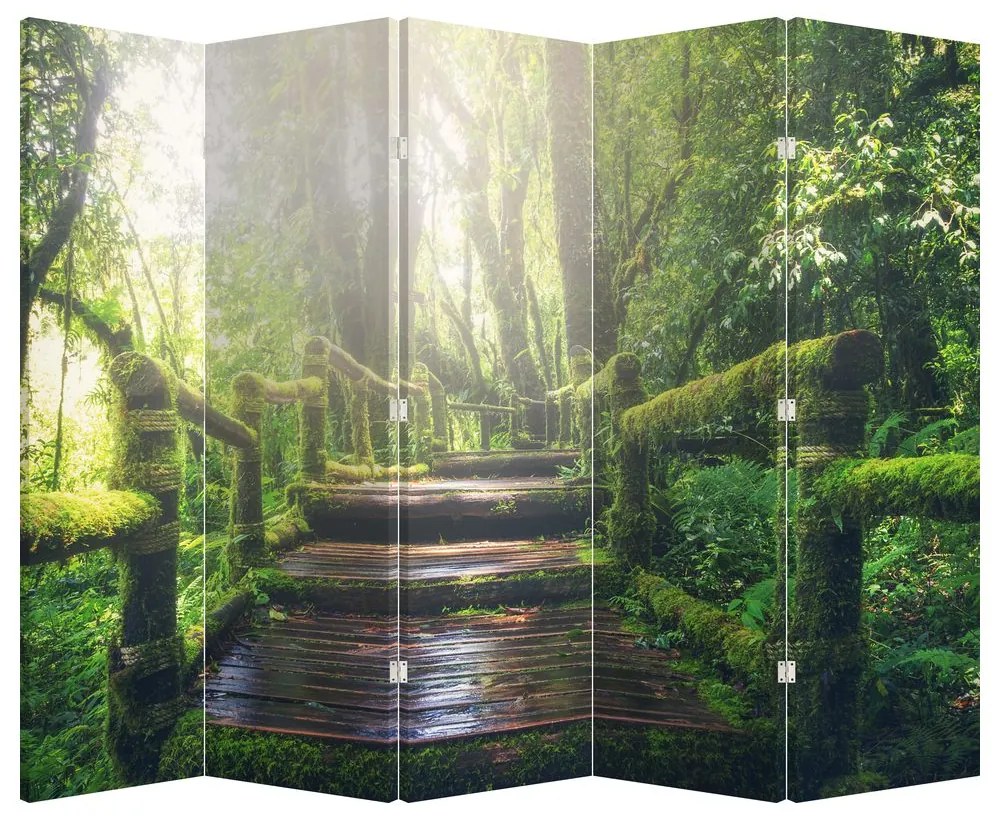 Paravan - Trepte din lemn în pădure (210x170 cm)