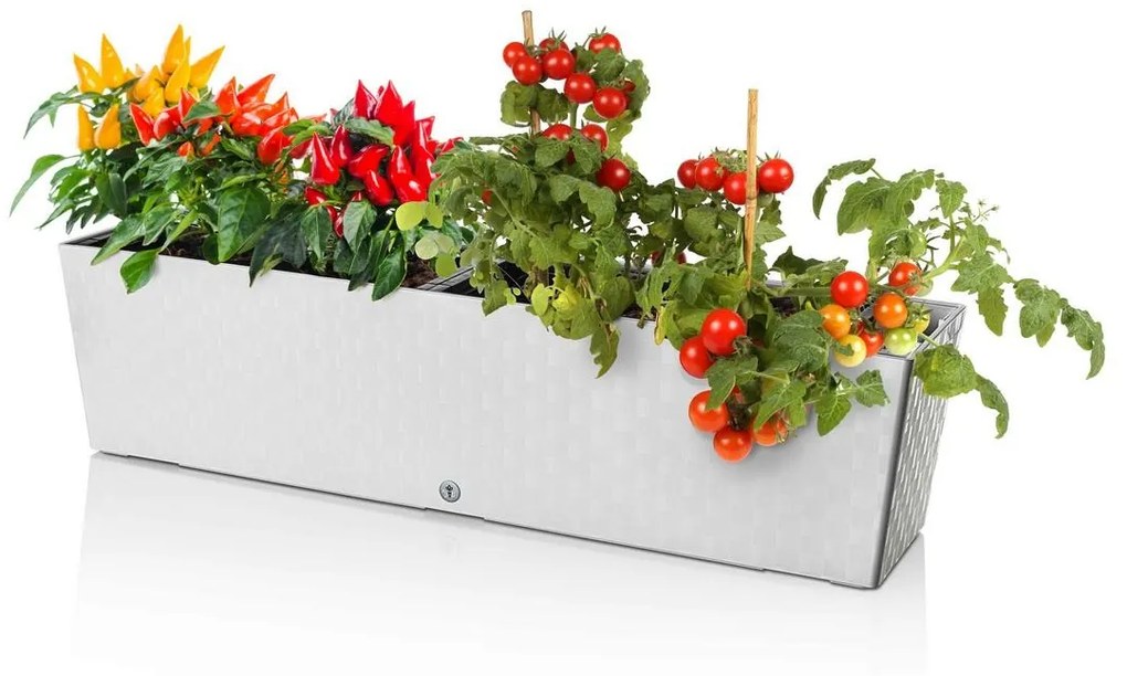 Jardinieră autoirigare Flower Lover Supremealbă, 75 cm, 75 cm