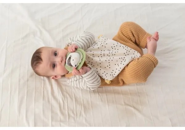 Cutie cadou HELLO BABY Taf Toys