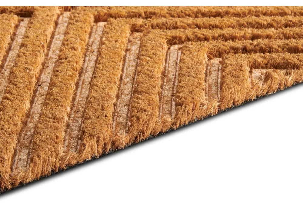 Covoraș de intrare din fibre de nucă de cocos 45x75 cm Geometric – Hanse Home