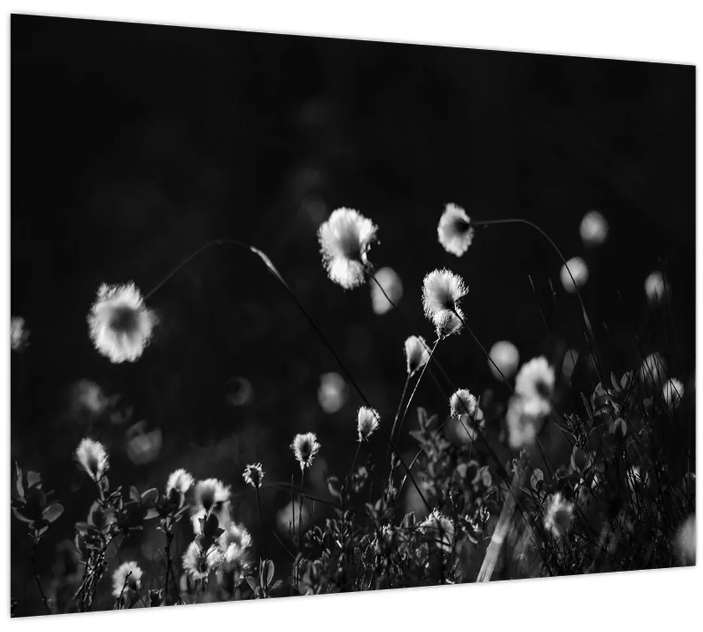 Tablou - Pajiște cu iarbă de cozonac N⁰1 (70x50 cm)
