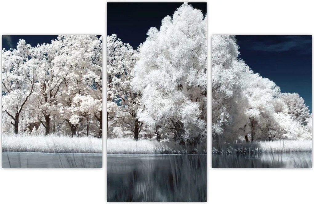 Tablou - Albă ca Zăpada Albă ca Zăpada Copaci (90x60 cm)