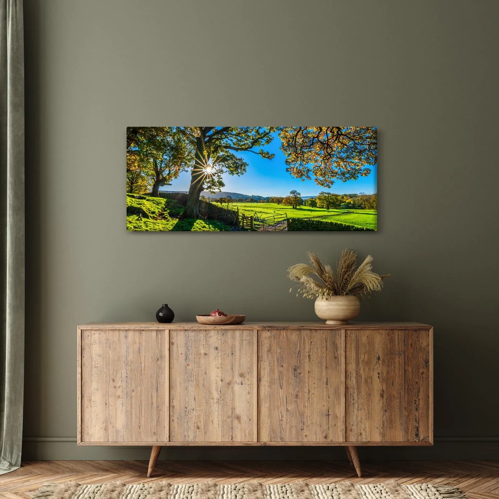 Tablou Privire la câmp (120x50 cm)