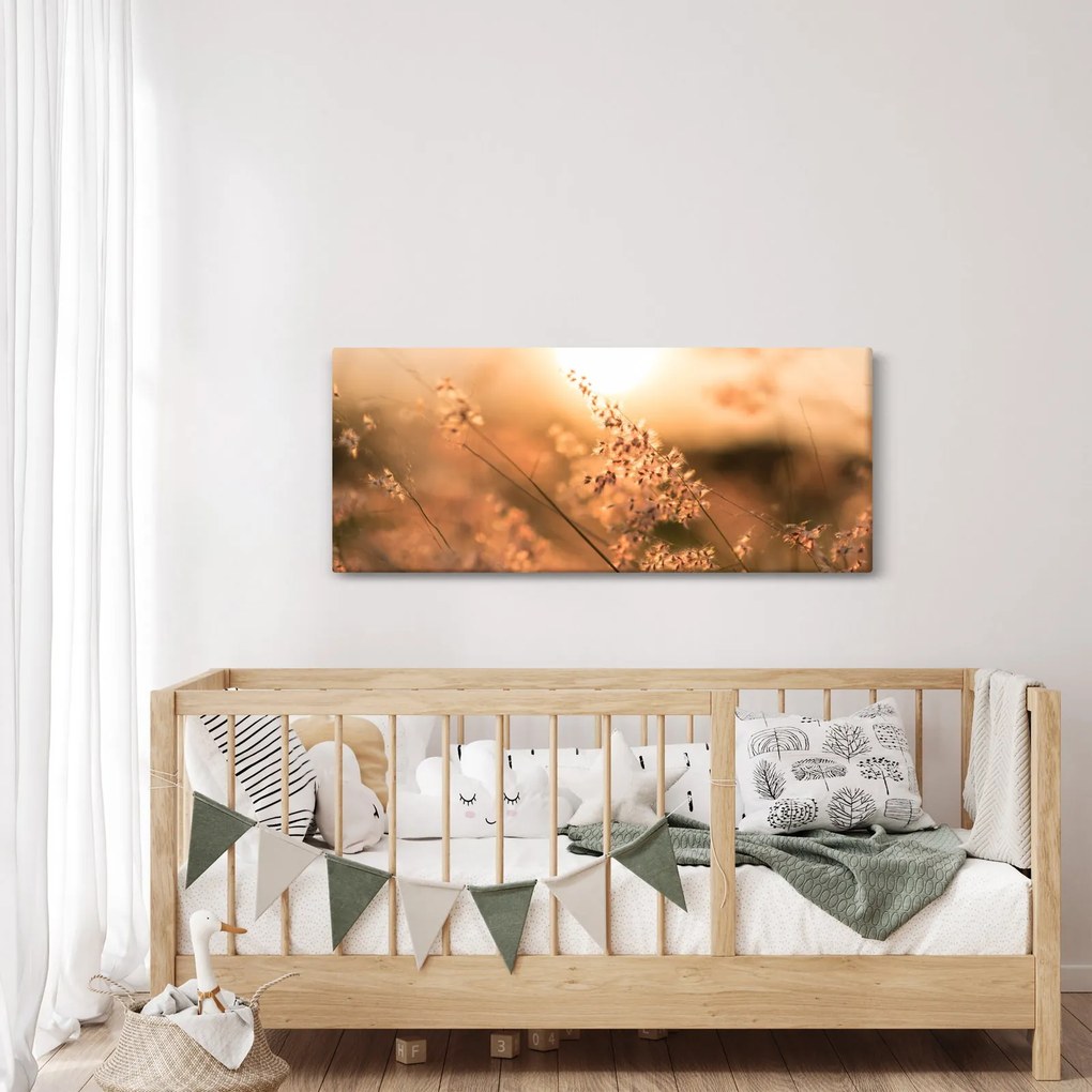 Tablou - Iarbă la soare (120x50 cm)