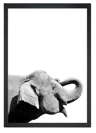 Poster 24x29 cm Damarion Elephant - Tablo Center