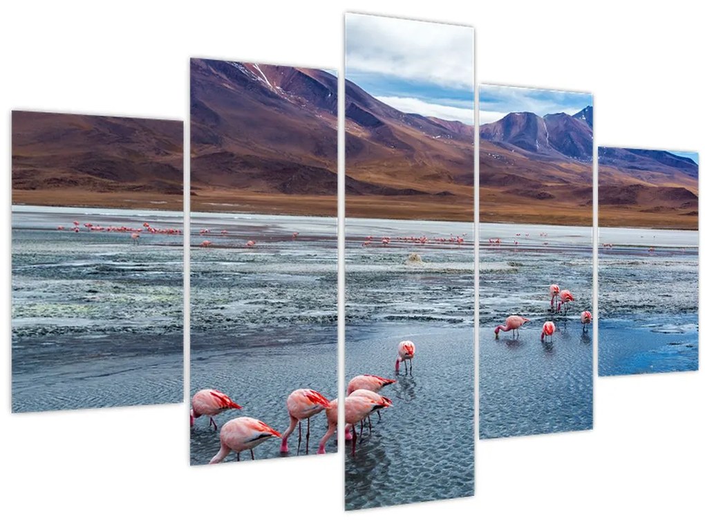 Tablou - Flamingo (150x105 cm)