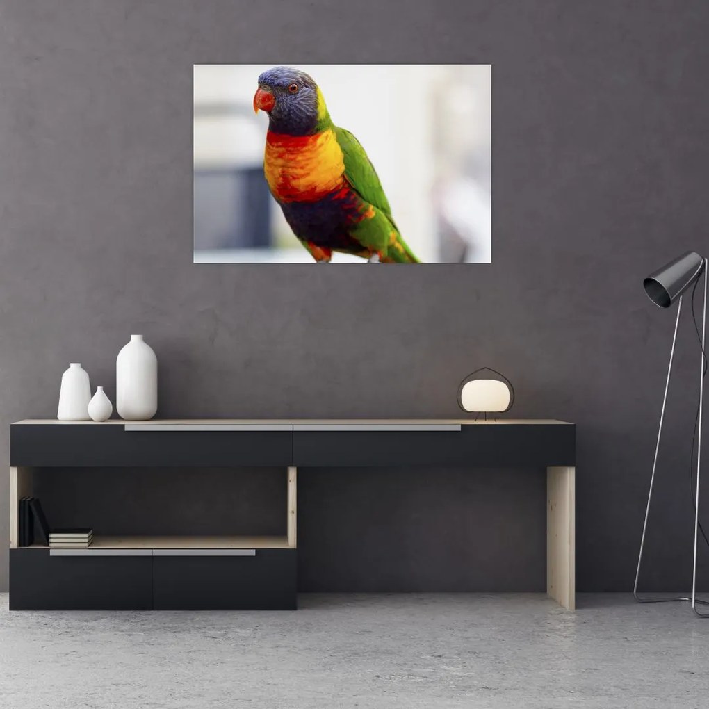 Tablou cu papagal (90x60 cm)