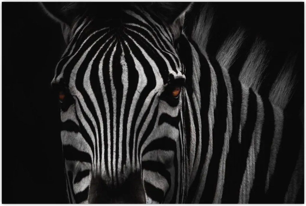 Tablou cu zebră (90x60 cm)