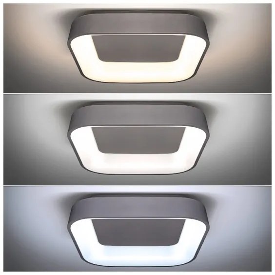 Solight WO769-G - Plafonieră LED reglabilă TREVISO LED/48W/230V cu DO