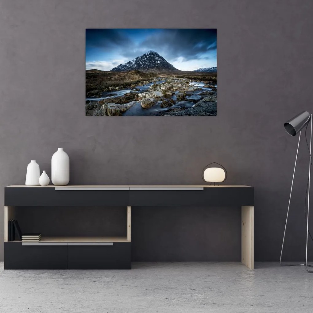 Tablou cu munții și tigrul (90x60 cm)
