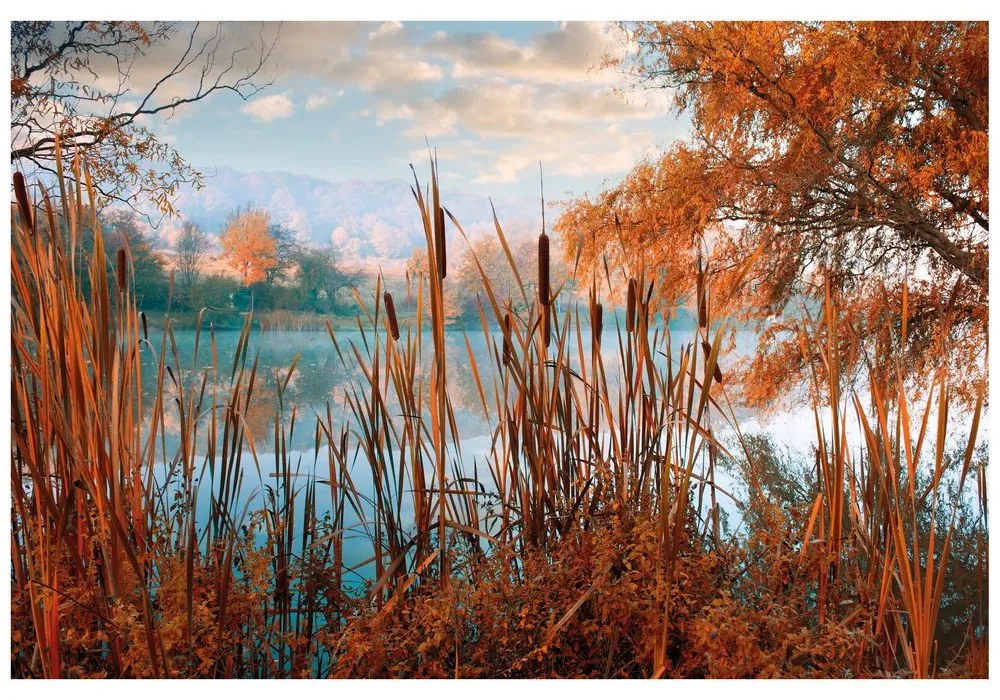 Fototapet lacul în mijlocul naturii de toamnă