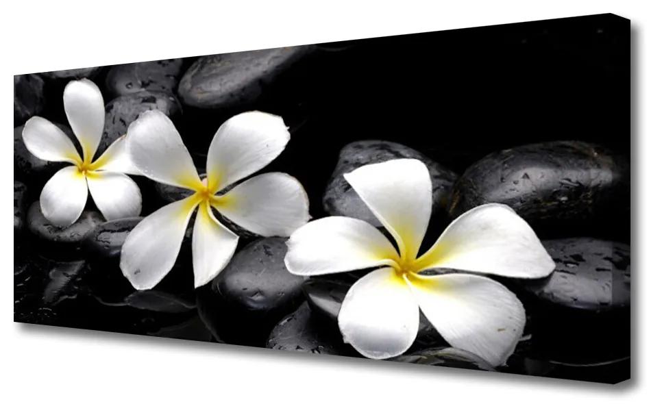 Tablou pe panza canvas Pietre florale flori alb negru