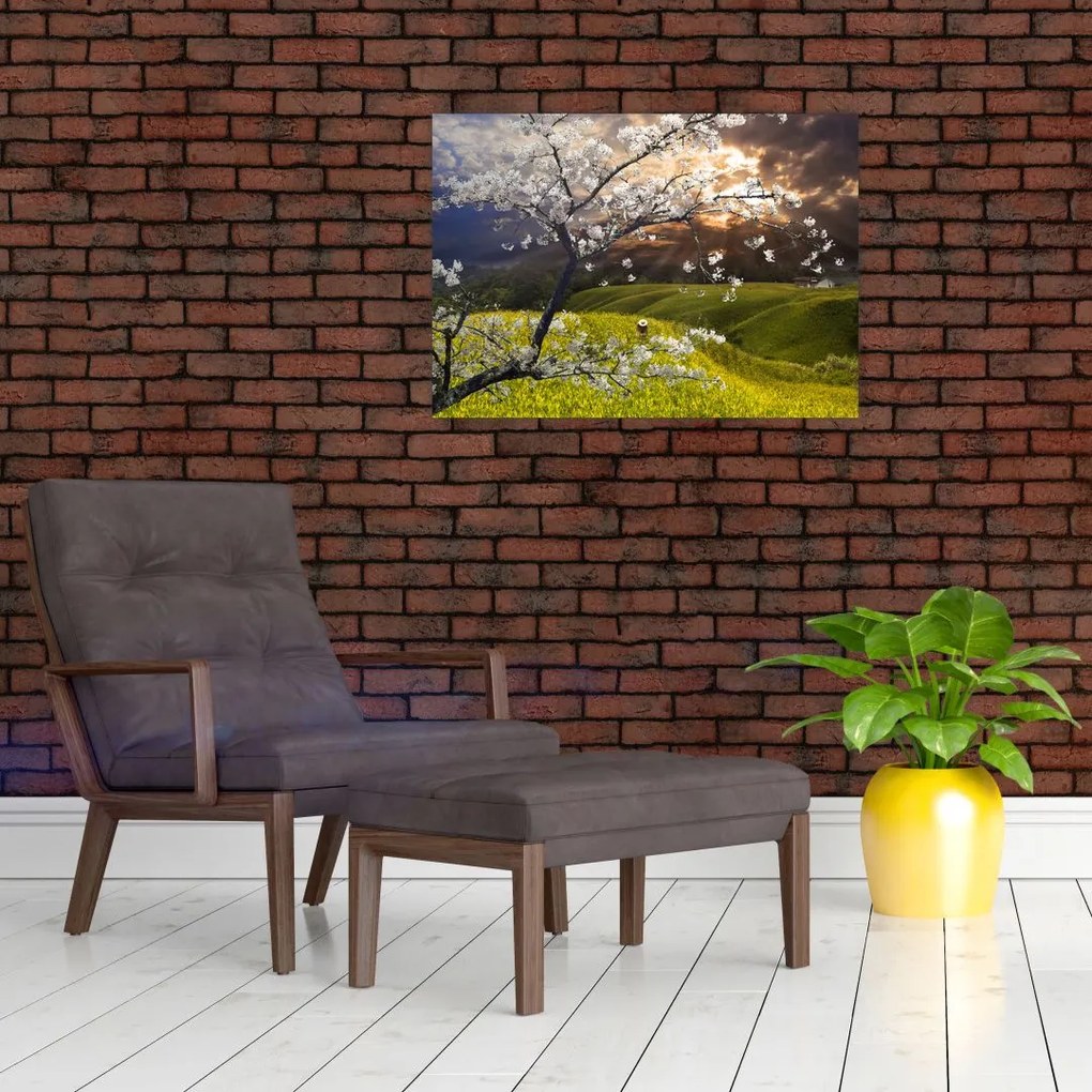Tablou pe sticlă - Peisaj cu pomul înflorit (70x50 cm)
