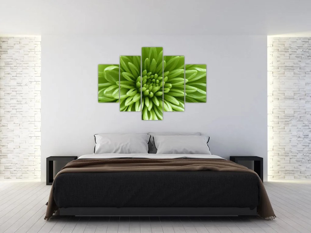 Tablou - Imagine macro a unei plante (150x105 cm)