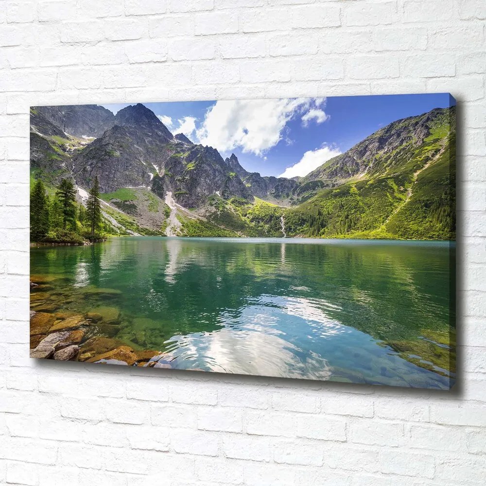 Print pe pânză Marine ochi tatry