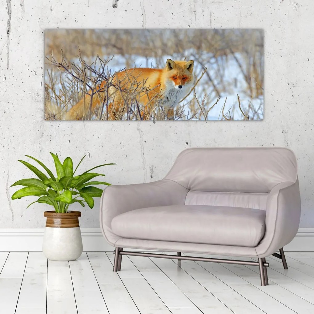Tablou - Vulpe (120x50 cm)