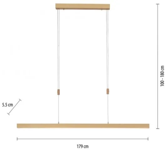 Lustră LED dimabilă pe cablu Paul Neuhaus 2568-60 ADRIANA LED/14W/230V alămie