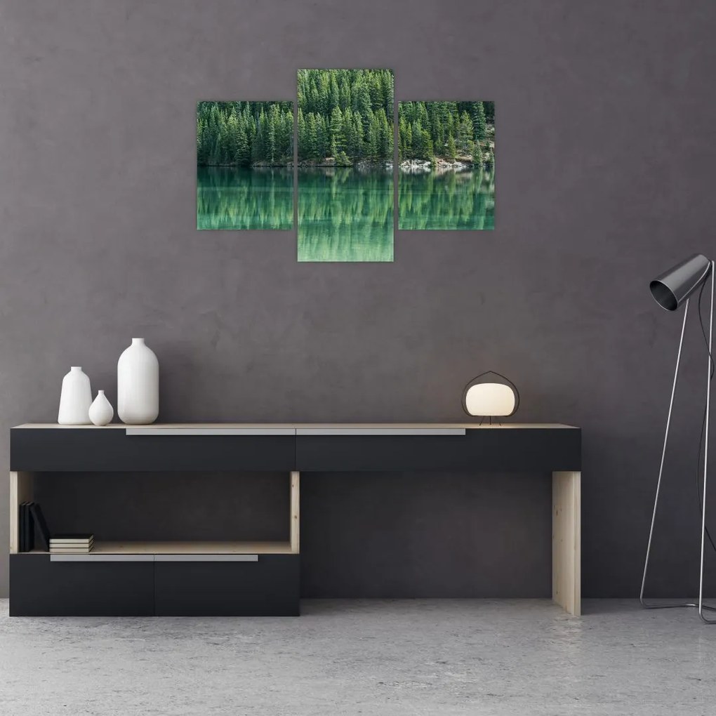 Tablou - Coniferi lângă lac (90x60 cm)