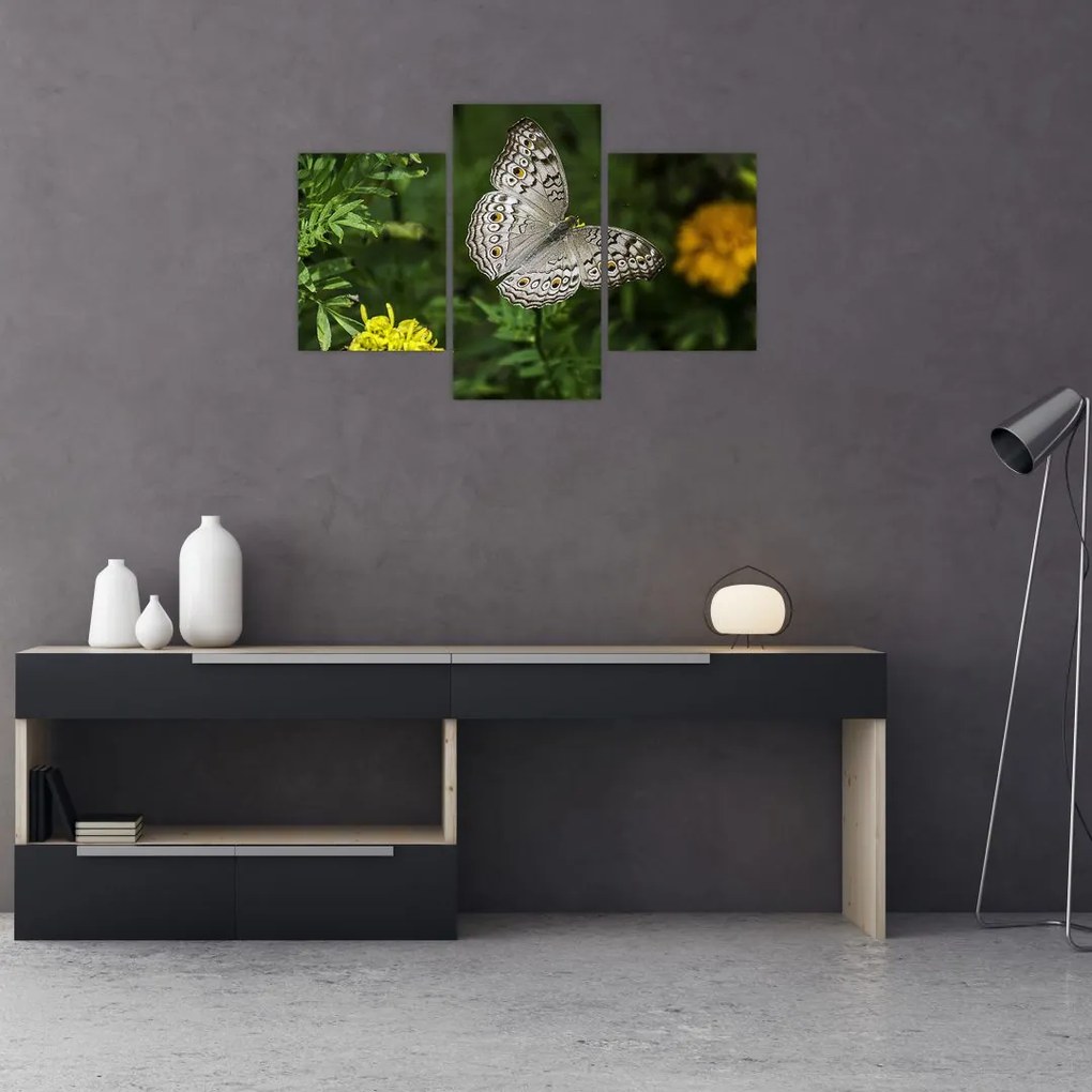 Tablou - fluture alb (90x60 cm)