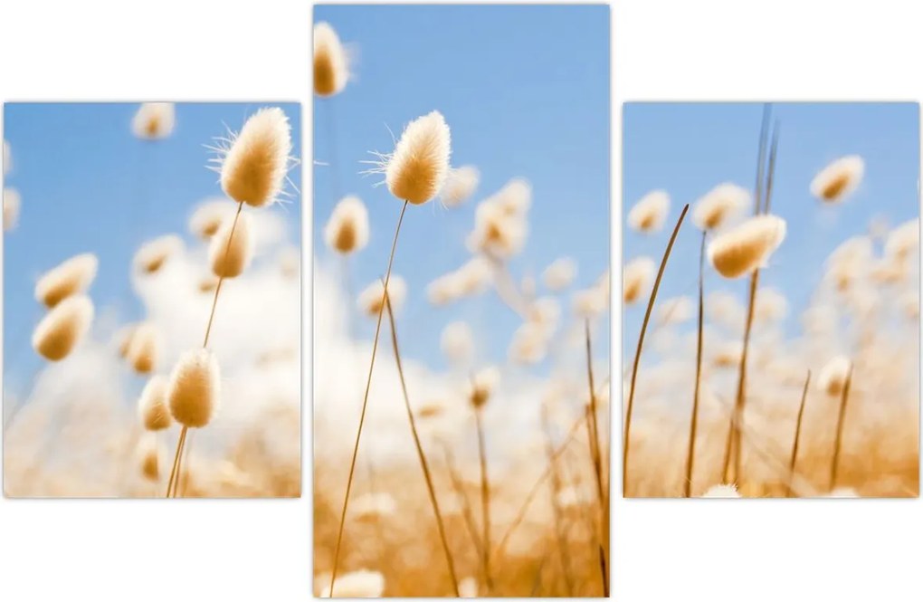 Tablou - Câmp de aur (90x60 cm)