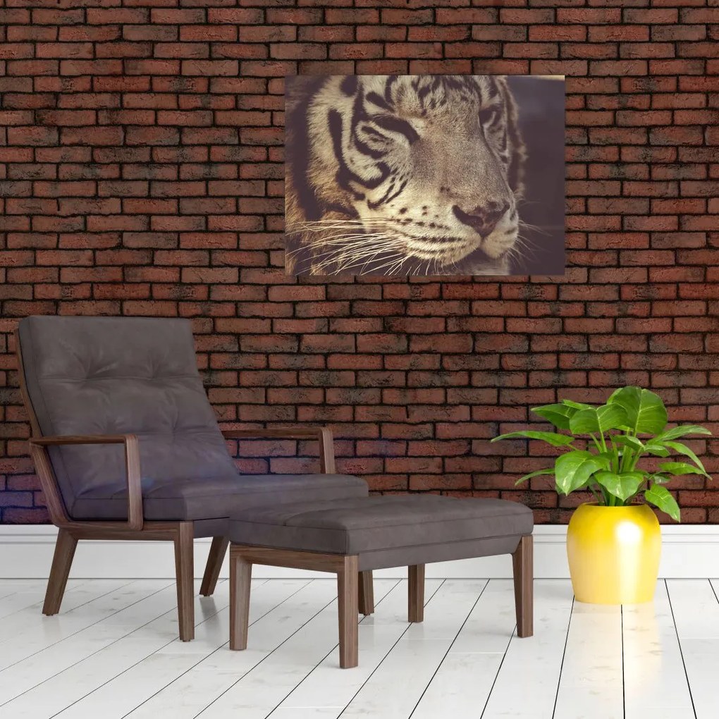 Tablou cu tigrul (70x50 cm)