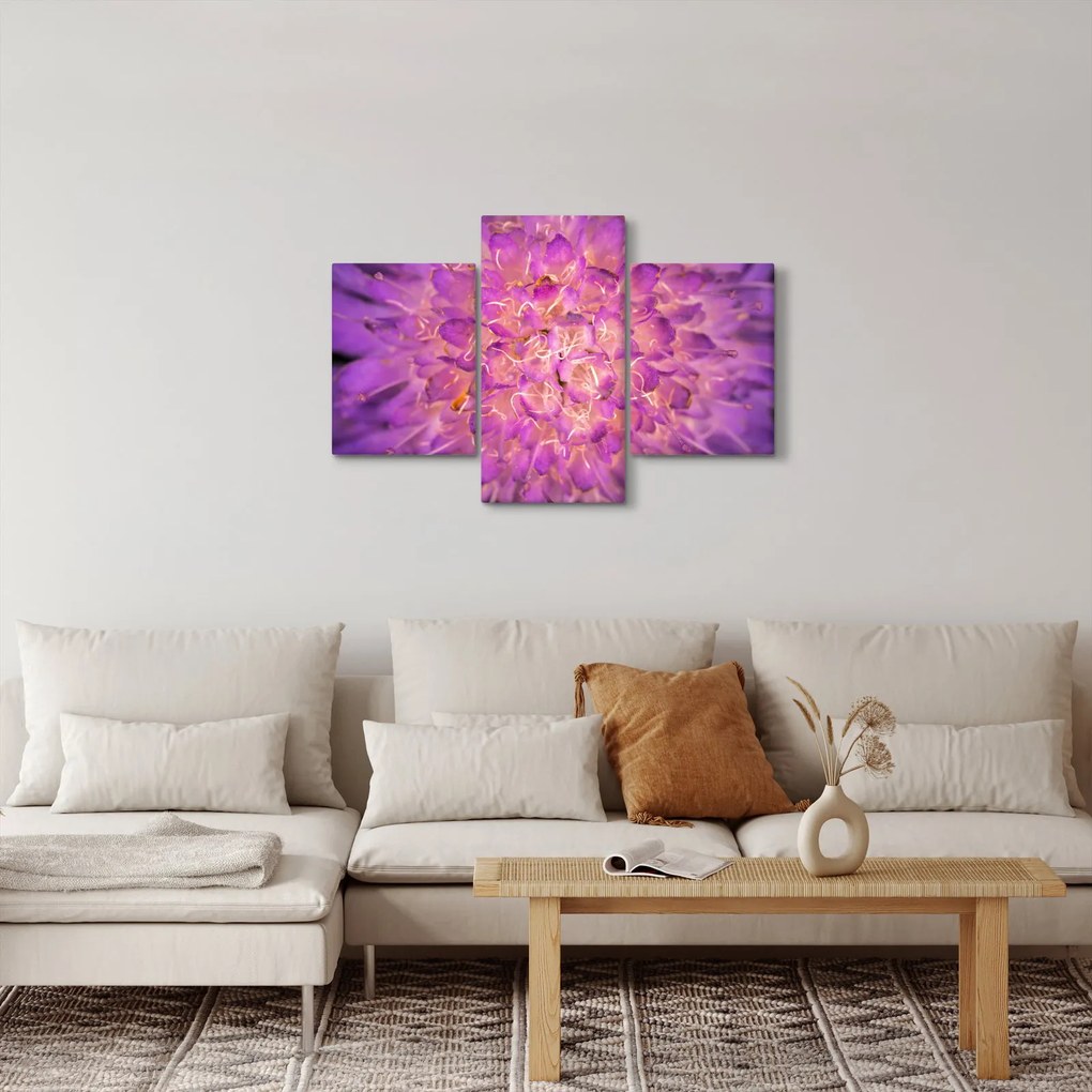 Tablou detailat cu floare (90x60 cm)