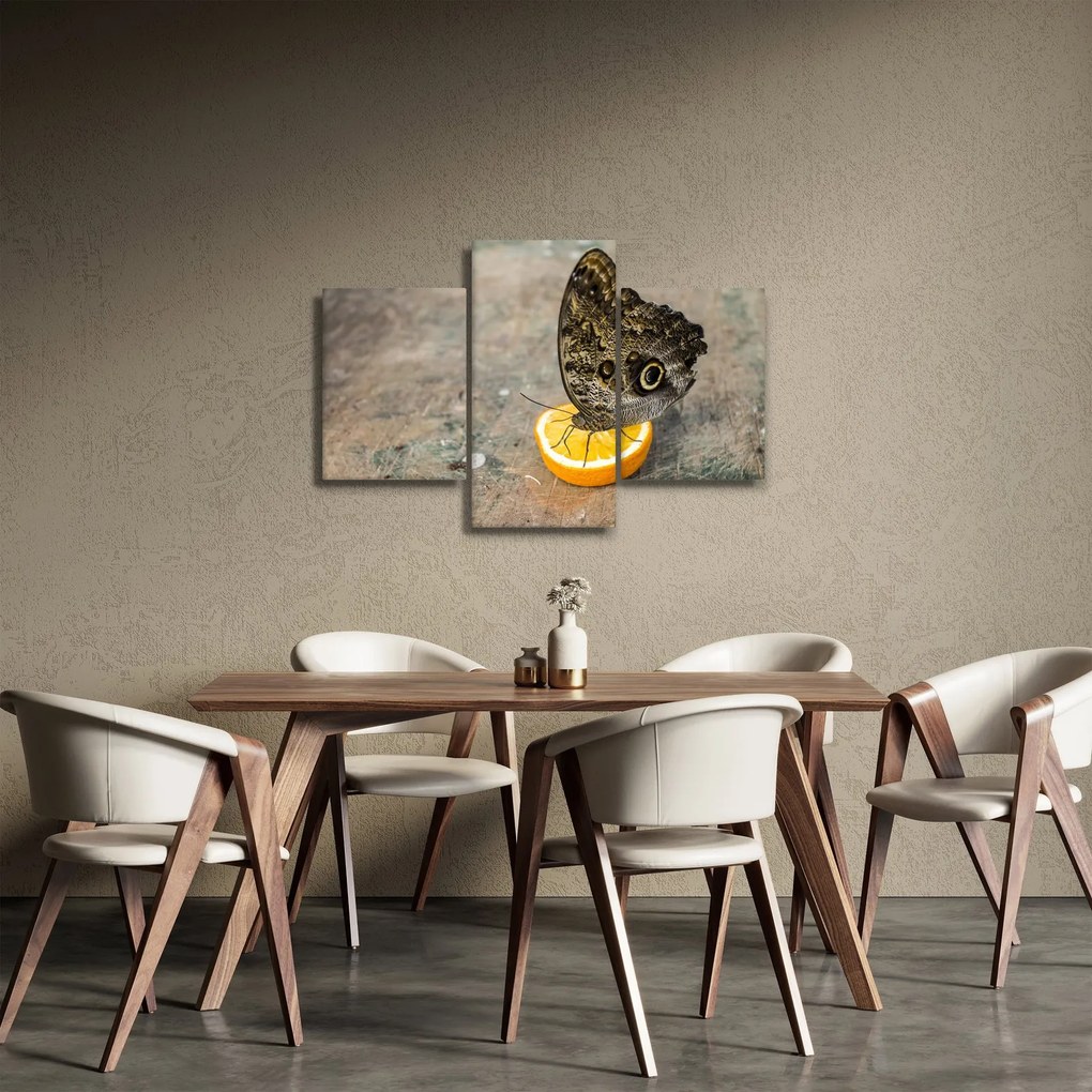 Tablou cu fluturi (90x60 cm)