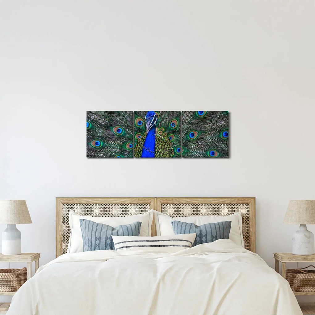 Tablou - Păun (cu ceas) (90x30 cm)