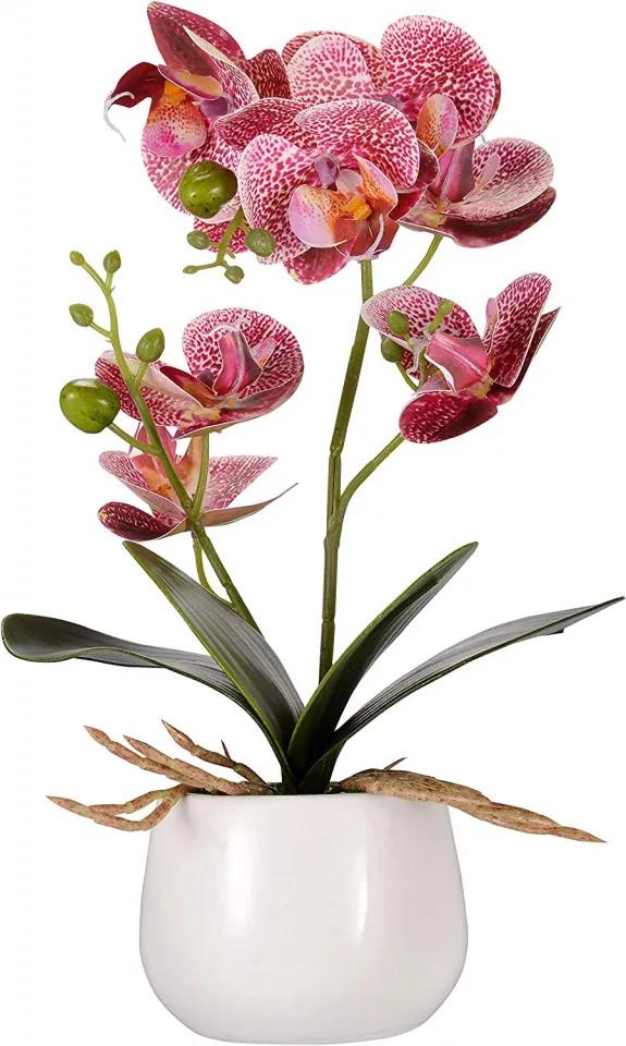 Floare artificiala Asvert Phalaenopsis, plastic/matase, verde/violet , 35 x 10 cm