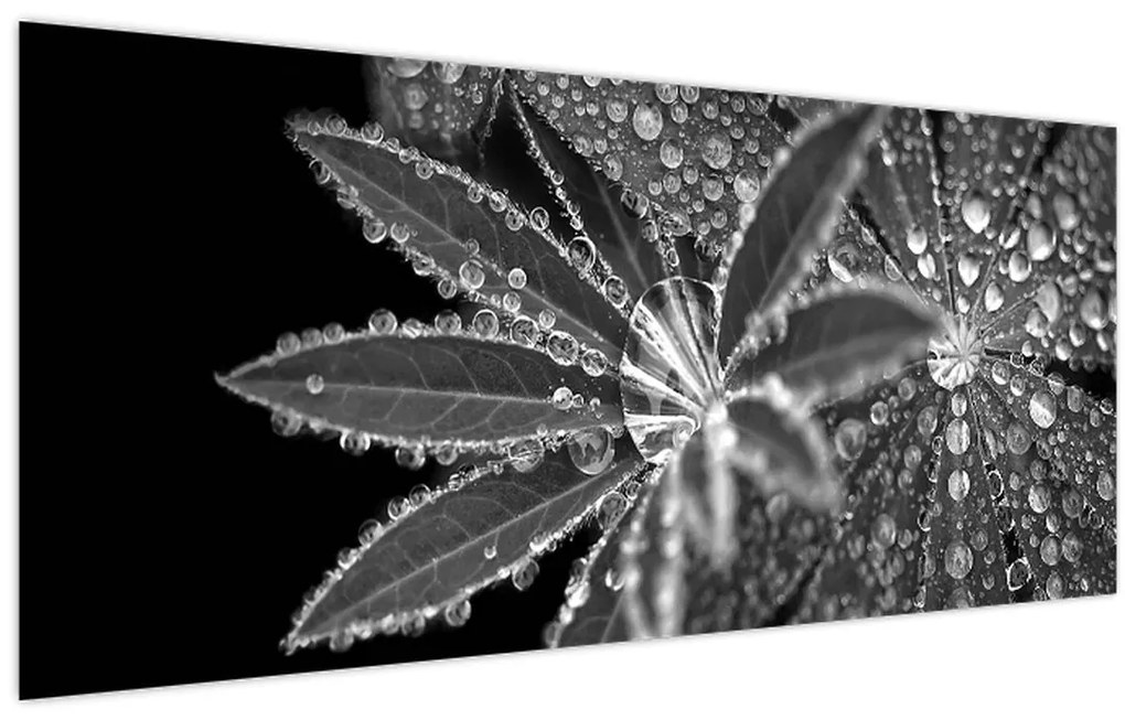 Tablou - Frunze cu picături (120x50 cm)