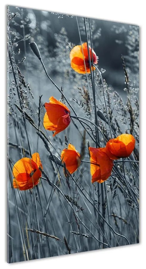 Tablou acrilic Wildflowers maci