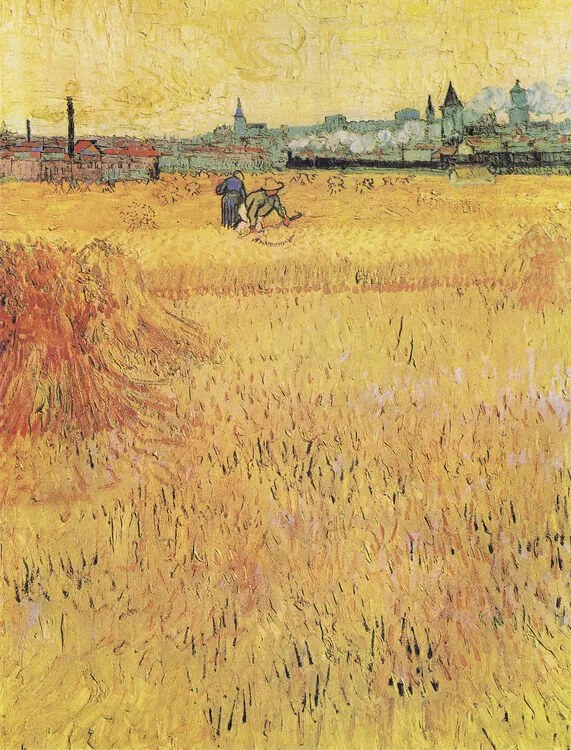 Reproducere Wheat field with View of Arles (1888), Vincent van Gogh