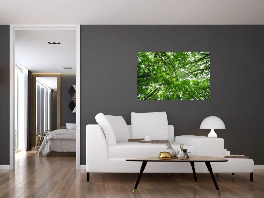 Tablou - privire în coroanele pomilor (90x60 cm)