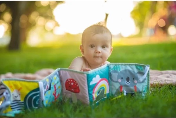 Carte textilă pentru copii 3 în 1 koala Taf Toys