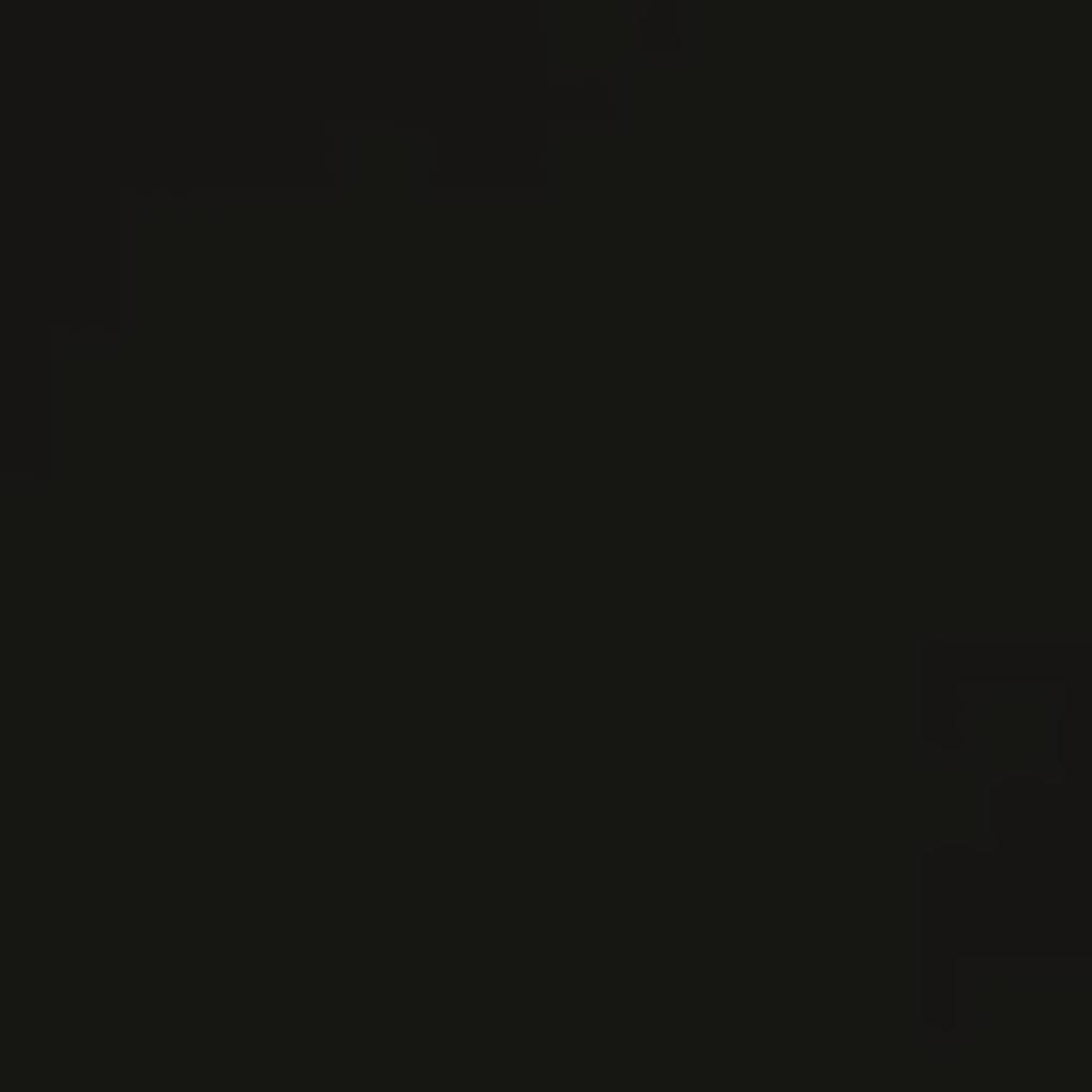 Copertina laterala de balcon, negru, 117x250 cm Negru, 117 x 250 cm