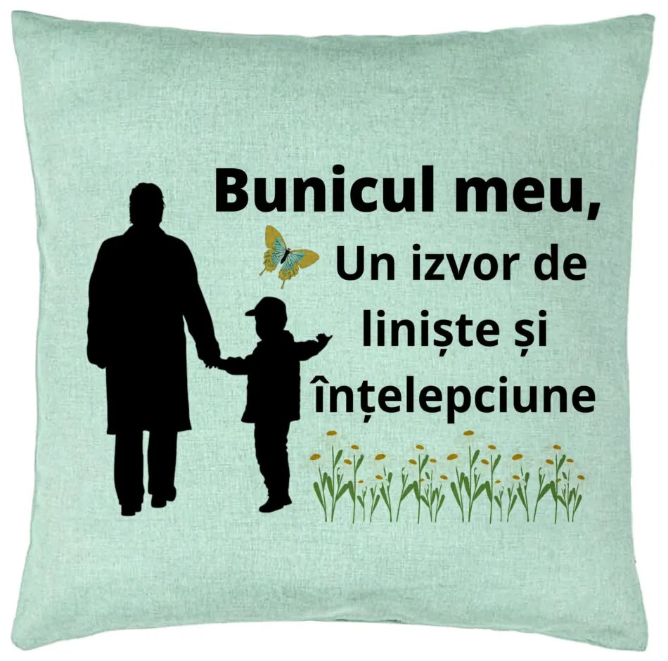 Perna Decorativa pentru Bunicul 6, 40x40 cm, Verde Menta, Husa Detasabila, Burduf