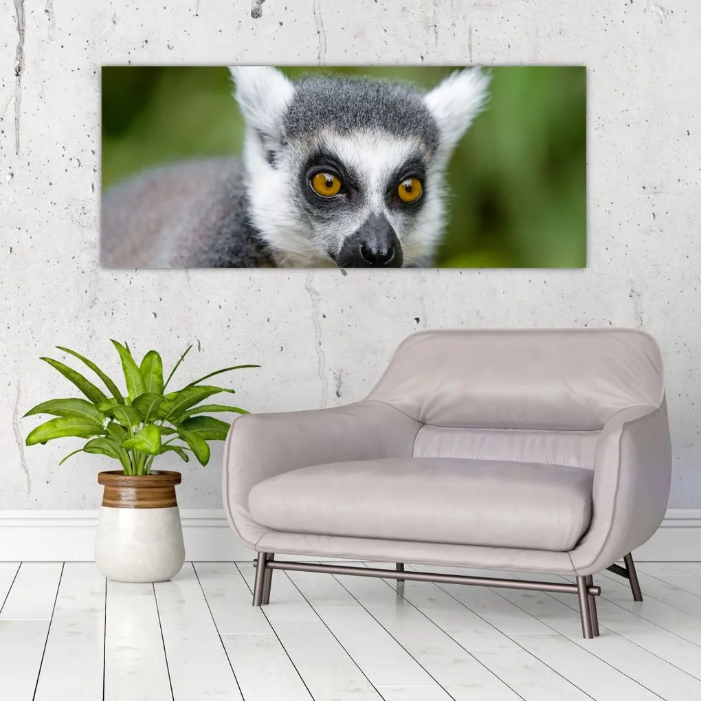 Tablou cu lemur (120x50 cm)