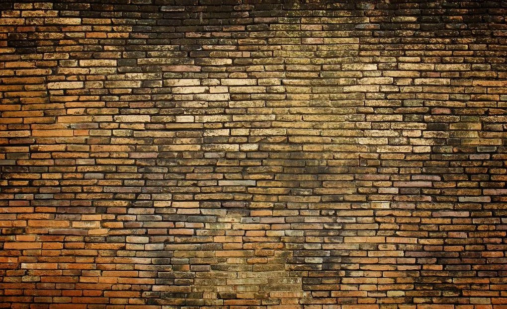 Fototapet - Peretele vechi din cărămidă (152,5x104 cm)