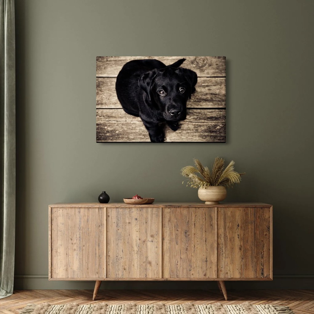 Tablou cu cățeluș negru (90x60 cm)