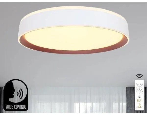 Plafonieră LED dimabilă cu control vocal OPAL LED/48W/230V + telecomandă