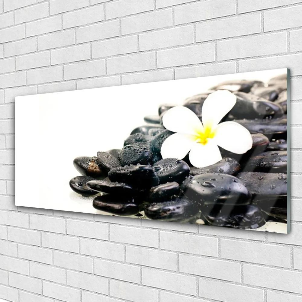 Tablou pe sticla Pietrele de flori Arta Alb Negru