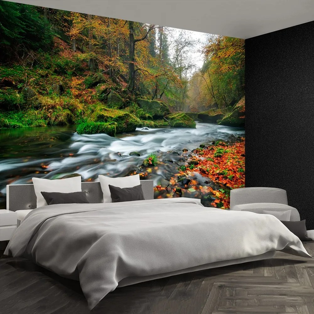 Fototapet Toamna Stream