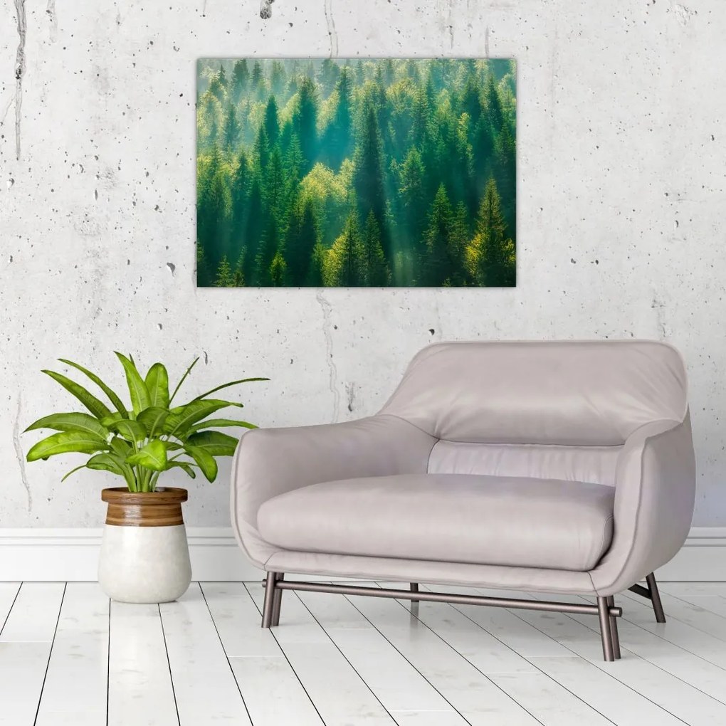 Tablou - Pădurea de brazi (70x50 cm)